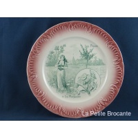les_fleurs_12_assiettes_histories_en_faence_de_sarreguemines_11